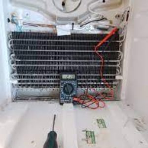 images FRESZ images FRESZ